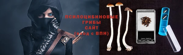 прущая мука Ельня