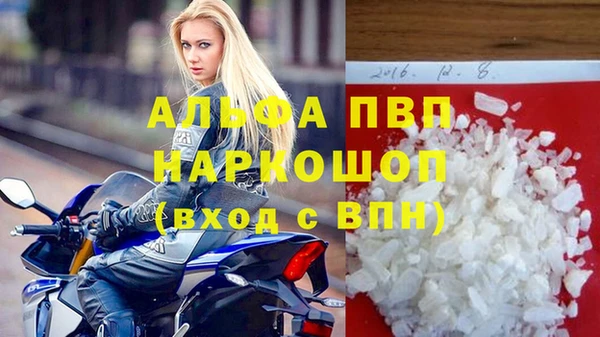 кокс Елизово