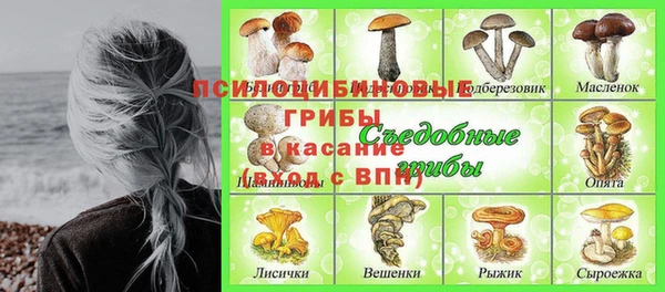прущая мука Ельня