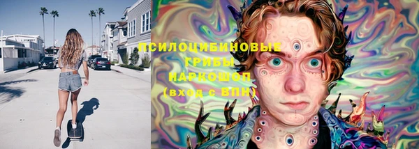 кокс Елизово