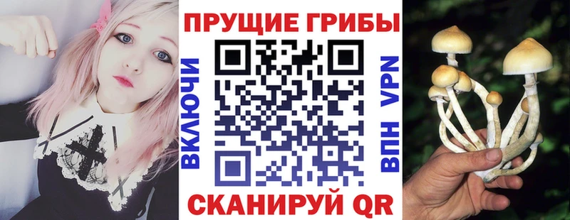 Псилоцибиновые грибы Magic Shrooms  дарнет шоп  Иннополис 